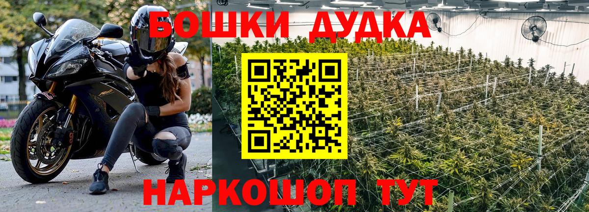 Каннабис SATIVA & INDICA  Вход с VPN  Дмитров  Бошки марихуана гибрид  Бошки марихуана White Widow 